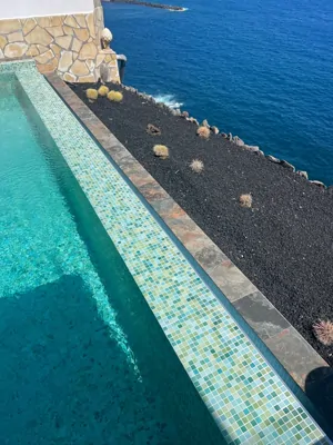 Piscina frente al mar con jardín de cactus