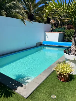 Piscina con césped y palmeras