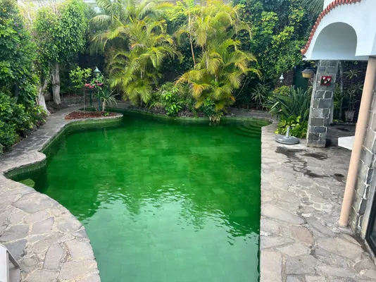 Piscina mantenida