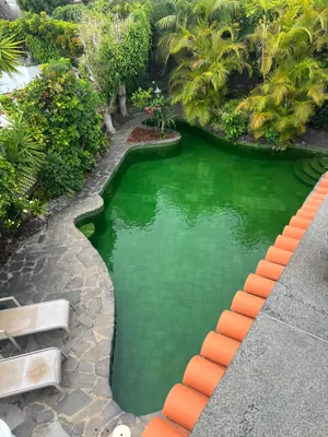 Limpieza de piscina